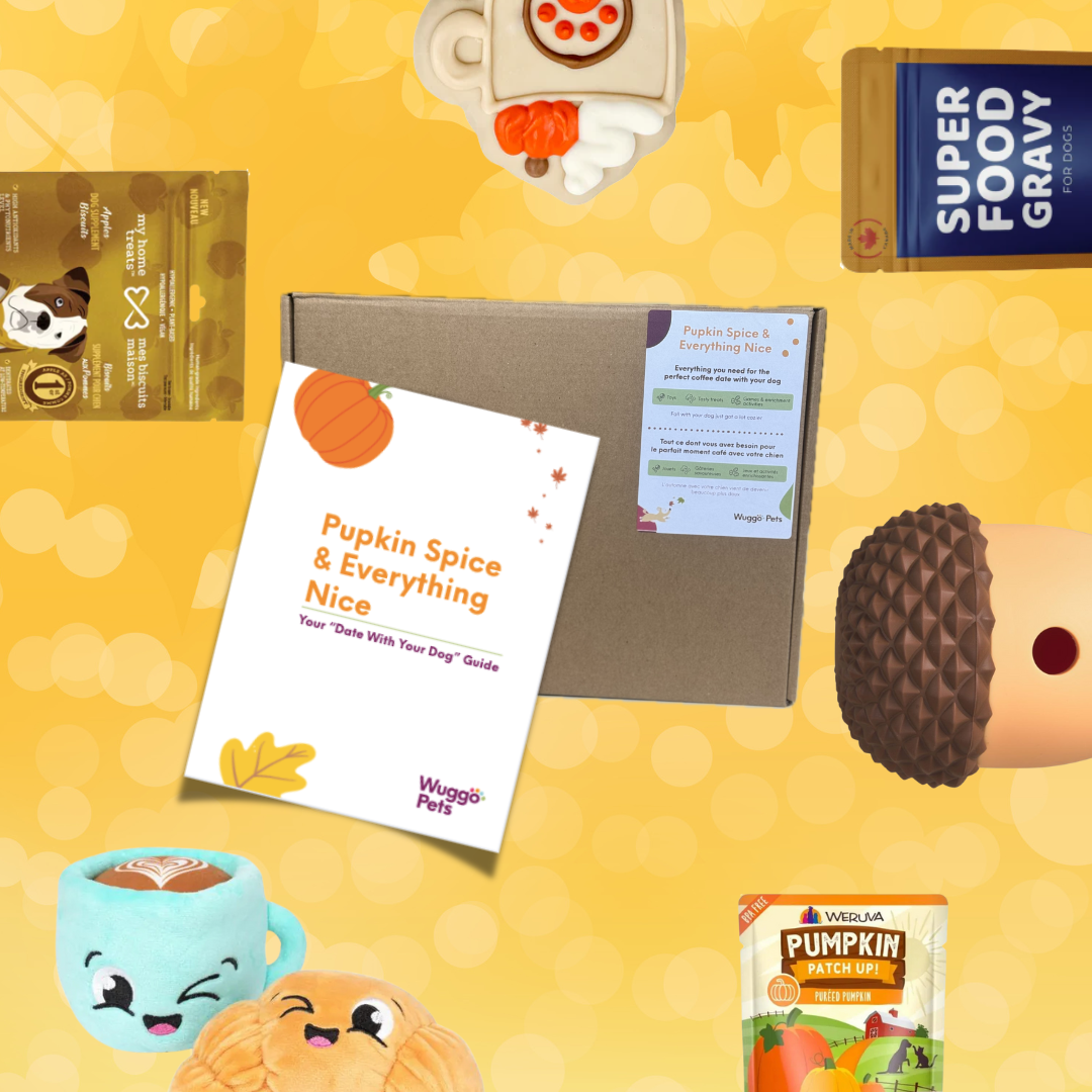 Pupkin Spice and Everything Nice