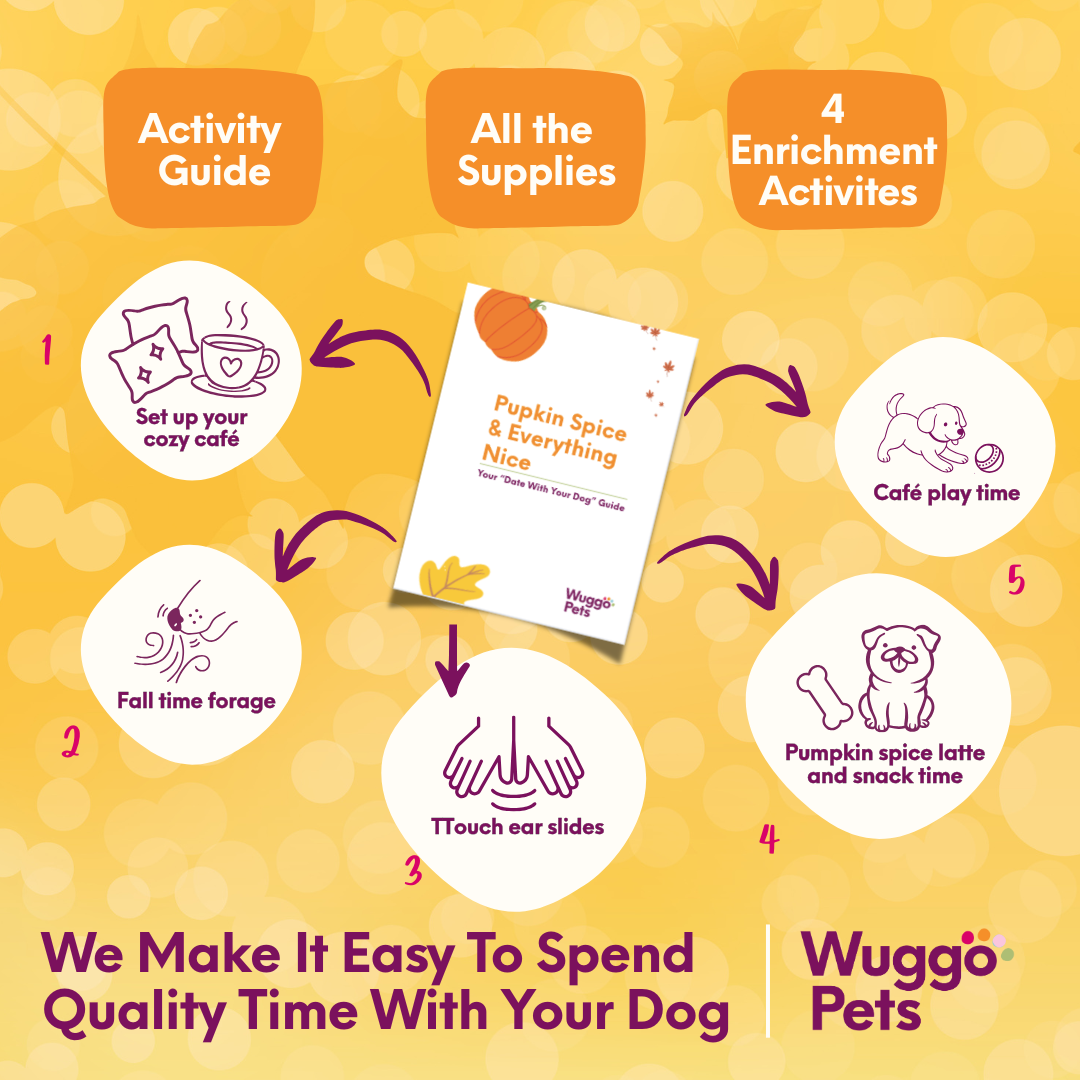 Pupkin Spice and Everything Nice