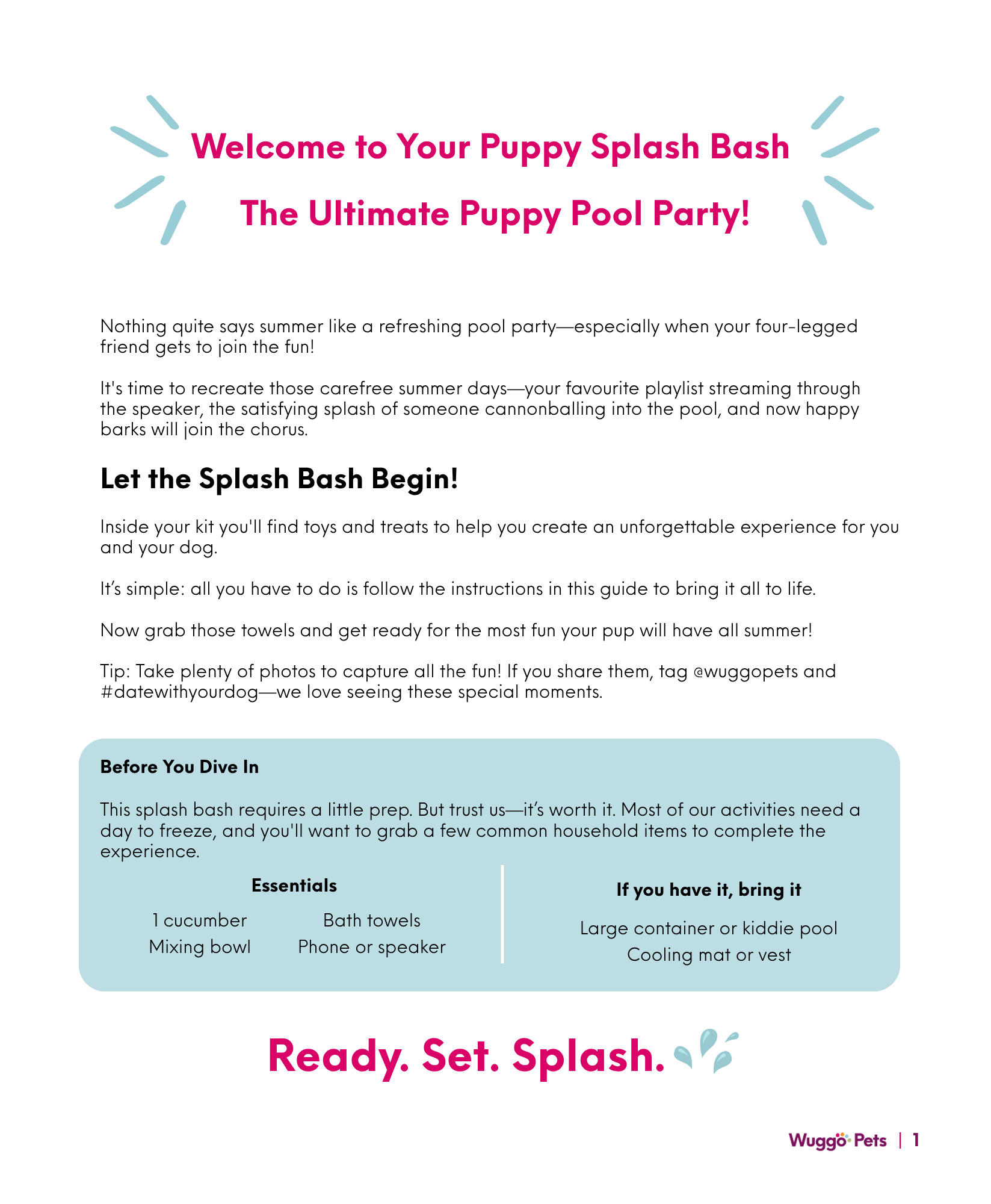 Doggy Splash Bash