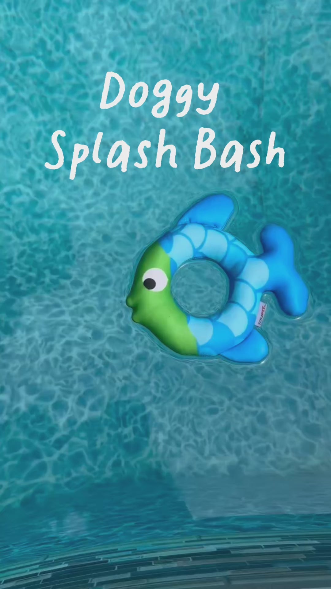 Doggy Splash Bash